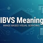 IBVS Meaning
