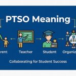 PTSO Meaning
