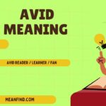 Avid Meaning Explained: Are You Using It Wrong?