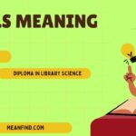 DLS Meaning Explained: Different Meanings in Simple Words