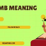 FMB Meaning Explained: Follow Me Back & Social Use