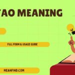 LMFAO Meaning in Text – Full Form & Usage Guide