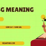 SG Meaning in Text & Chat (Full Guide 2026)