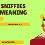 Sniffies – Its Meaning, Origin and Usage: Complete Guide