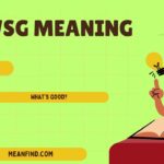 What Does WSG Meaning? Texting & Snapchat Explained