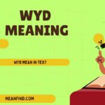 WYD Mean in Text