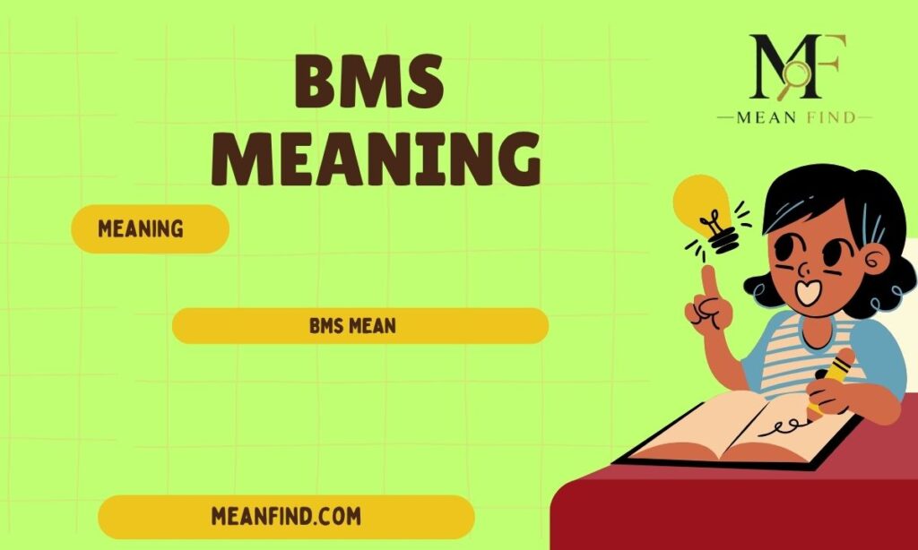 What Does BMS Mean in Text? Complete Guide to Its Meanings Across Chat, Social Media, and Technical Fields