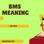 What Does BMS Mean in Text? Complete Guide to Its Meanings Across Chat, Social Media, and Technical Fields