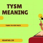 What Does TYSM Mean in Text? A Complete Guide to Its Meaning, Usage, and Contexts