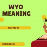 What Does WYO Mean in Text? Meaning, Slang, Uses & Examples (2026)