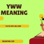 YWW Meaning Explained: What It Means & When to Use